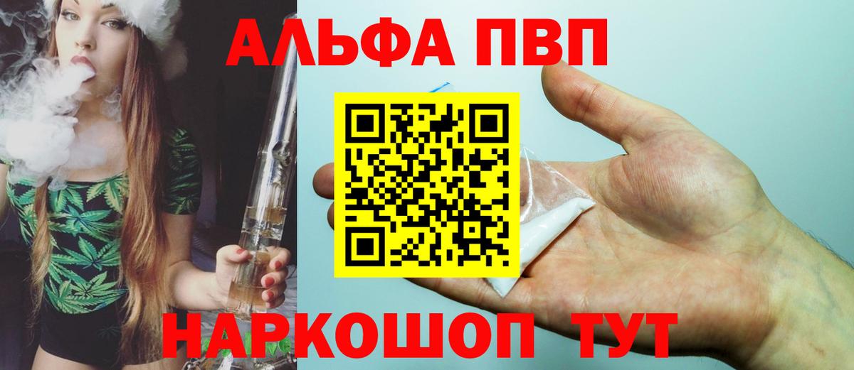 Alfa_PVP СК  A PVP СК КРИС  Гагарин  Вход с VPN 