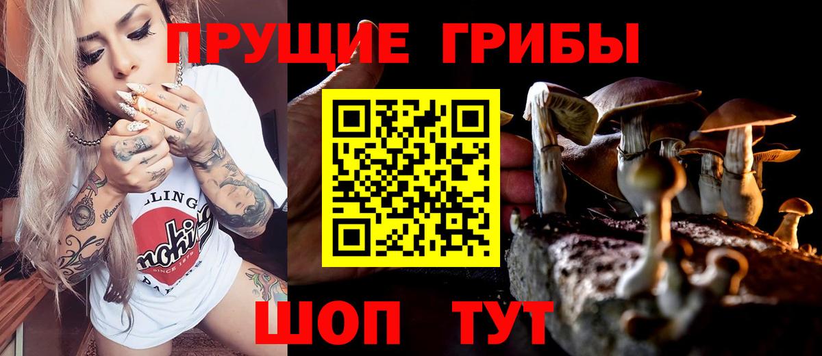 Псилоцибиновые грибы мухоморы  Вход с VPN  Гагарин 